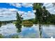 Scenic lake view showcasing a bridge and clear skies, framed by trees on a bright, sunny day at 5888 Wood Duck Way, Catawba, NC 28609