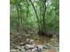Picturesque creek surrounded by lush green trees, creating a serene and private setting at 3014 Haigler Rd, Monroe, NC 28110