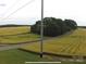 Farmland view, showcasing the extensive acreage and serene country setting near a paved road at 3014 Haigler Rd, Monroe, NC 28110