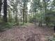 Treehouse view, showcasing the potential for outdoor adventures and enjoying the surrounding nature at 3014 Haigler Rd, Monroe, NC 28110