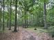 View of wooded property, showcasing the natural beauty and privacy of the landscape at 3014 Haigler Rd, Monroe, NC 28110