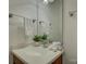 Cozy bathroom featuring a sleek vanity, decorative plant, and ample counter space at 668 Sixth Baxter Xing, Fort Mill, SC 29708