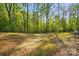 Expansive backyard space with a blend of sunlight and shade, surrounded by lush trees and a secure fence at 11040 E Lake Rd, Charlotte, NC 28215