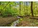 Scenic view of a gentle creek flowing through a lush, wooded landscape, showcasing the natural beauty of the property at 11040 E Lake Rd, Charlotte, NC 28215