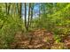 Scenic wooded area with a natural walking path, showcasing the beauty of the surrounding nature at 11040 E Lake Rd, Charlotte, NC 28215