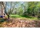 Expansive, verdant backyard with mature trees, offering privacy and natural beauty at 2426 36Th Ne Ave, Hickory, NC 28601