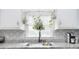 Bright kitchen featuring a stainless steel sink, patterned backsplash, and hanging plants over the window at 2825 Old Pageland Marshville Rd, Wingate, NC 28174