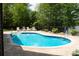 Inviting backyard pool with lounge chairs and lush landscaping at 447 Shagbark Ct, Mount Gilead, NC 27306