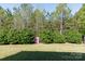Expansive backyard with plenty of mature trees that adds a playhouse at 4707 Hannah Dr, Rock Hill, SC 29732