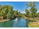 Tranquil aerial view of a pond with a water feature, trees, lush green space, and walking path at 8100 Skye Knoll Dr # 144, Waxhaw, NC 28173