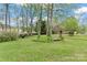 Picturesque backyard featuring a charming swing area surrounded by lush greenery and mature trees at 1074 Oakridge Farm Hwy, Mooresville, NC 28115