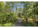 A tranquil boardwalk trail winds through a lush forest, offering a peaceful and scenic walking experience at 2030 Bosna Ln, Fort Mill, SC 29715