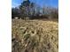 A large, overgrown lot with scattered debris and a shed shows evidence of neglect at 2504 Windswept Way, Rockwell, NC 28138
