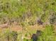 Overhead shot showcasing a wooded lot and small creek at 322 S Main St, Shelby, NC 28152