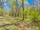 Scenic shot of wooded path with trees and greenery, displaying a natural setting for a tranquil experience at 322 S Main St, Shelby, NC 28152