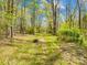 View of a charming dirt path through a wooded area, grassy areas and tall trees showcasing natural beauty at 322 S Main St, Shelby, NC 28152