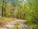 Gravel road through wooded area with lush green trees under a sunny sky offers a peaceful, secluded setting at 322 S Main St, Shelby, NC 28152