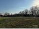 Large grassy backyard with scattered trees under a bright sky, showing property potential at 539 Jennings Rd, Statesville, NC 28625