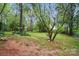 Large backyard area with trees, garden, and wooded views at 9209 Rotherham Ln, Charlotte, NC 28216