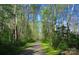 Lush walking trail with an abundance of tall trees perfect for a peaceful stroll at 105 Snead Ct, Salisbury, NC 28144