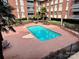 Community swimming pool surrounded by palm trees and lounge seating at 1300 Queens Rd # 210, Charlotte, NC 28207
