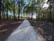 Long gravel driveway leading to a home surrounded by mature trees and lush greenery at 1407 Clarksville Campground Rd, Monroe, NC 28112