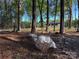 House surrounded by tall trees in a wooded area at 1407 Clarksville Campground Rd, Monroe, NC 28112