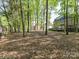 Tranquil backyard with mature trees, providing a serene backdrop and shade for outdoor enjoyment at 2805 Bathgate Ln, Matthews, NC 28105