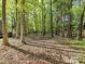 Beautiful backyard surrounded by mature trees, offering privacy and a serene natural setting at 2805 Bathgate Ln, Matthews, NC 28105