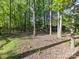 Lush backyard with mature trees, providing a peaceful and private outdoor retreat at 2805 Bathgate Ln, Matthews, NC 28105