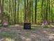 Beautiful outdoor retreat with table, hanging egg chairs, flowers, and lush greenery at 6724 Brushwood Dr, Charlotte, NC 28262