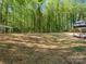 Expansive backyard with newly laid straw, wooded area, and a pergola-covered deck at 6724 Brushwood Dr, Charlotte, NC 28262