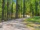 Scenic driveway surrounded by tall trees and natural beauty, leading to a tranquil home at 6724 Brushwood Dr, Charlotte, NC 28262