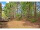 Secluded backyard featuring a wooden deck, lush trees, and natural landscaping at 7536 Bimini Ct, Sherrills Ford, NC 28673