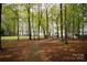 Scenic pathway leading to a tranquil lake view, nestled among mature trees offering a peaceful escape at 300 Yacht Rd, Mooresville, NC 28117