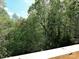 Beautiful view of wooded green scenery from the deck at 3914 Cassidy Dr, Waxhaw, NC 28173