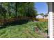 Large fenced backyard with mature trees offering plenty of shade and privacy at 602 Black Maple Dr, Kannapolis, NC 28081