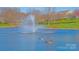 Calm pond featuring a fountain and geese, with a backdrop of lush greenery and mature trees at 115 Keswick Ln, Mooresville, NC 28117