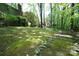 Home's backyard is spacious and features lush greenery and mature trees and landscaping rocks at 1174 Orchard Dr, Fort Mill, SC 29715
