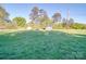 Large grassy backyard with mature trees and recreational structures, ideal for Gathering enjoyment and outdoor activities at 833 Generation Ln, Clover, SC 29710
