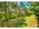 Secluded backyard with large grassy area and mature trees for privacy at 1226 Clingman Dr, Fort Mill, SC 29715
