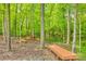 Shaded backyard picnic area with wooden benches and tables surrounded by lush trees, perfect for outdoor gatherings at 14818 Hawick Manor Ln, Pineville, NC 28134