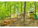 Scenic backyard with a playset and picnic table surrounded by lush greenery, perfect for outdoor Gathering fun at 14818 Hawick Manor Ln, Pineville, NC 28134