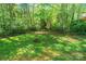 Beautiful green backyard with a wrought iron fence and mature trees offering privacy and space at 2166 Potpourri Pt, Rock Hill, SC 29732