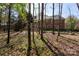Expansive backyard featuring mature trees, lush greenery, and a well-maintained lawn at 3010 Lakewood Edge Dr, Charlotte, NC 28269
