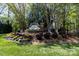 Landscaped entrance to Radbourne featuring colorful flowers and lush greenery at 3010 Lakewood Edge Dr, Charlotte, NC 28269