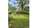 Large grassy backyard featuring mature trees and a storage shed, offering privacy at 3507 Rogers St, Charlotte, NC 28208