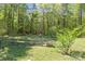 View of community garden area with several raised garden beds surrounded by a natural setting at 4436 Shiloh Unity Rd, Lancaster, SC 29720