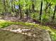 Backyard with concrete pad and wooded area at 8608 Warwick Crest Ln, Charlotte, NC 28215