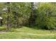 Spacious backyard with lush green grass, mature trees, and natural landscaping at 1540 Coatsworth Ln, Rock Hill, SC 29732